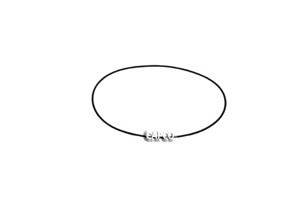 0663-2100-64 O-RING (OEM) Atlas Copco 0663-2100-64 O-RING (OEM) Atlas Copco - Image 1