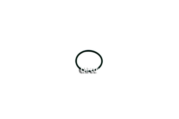 0663-2107-81 O-RING (OEM) Atlas Copco 0663-2107-81 O-RING (OEM) Atlas Copco - Image 1