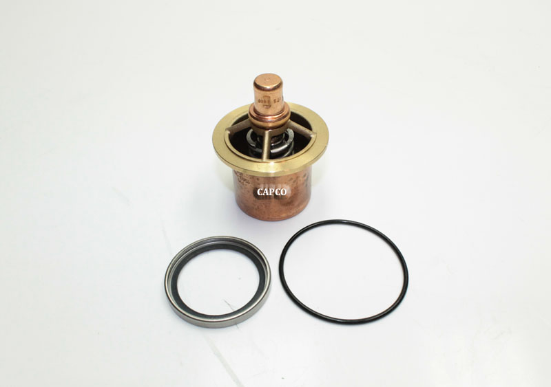 125657-055 Replacement Quincy Thermal Valve Kit 125657-055 Replacement Quincy Thermal Valve Kit - Image 1