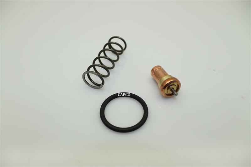 2120-0223-55 Thermostat Kit (OEM) Atlas Copco 2120-0223-55 Thermostat Kit (OEM) Atlas Copco - Image 1