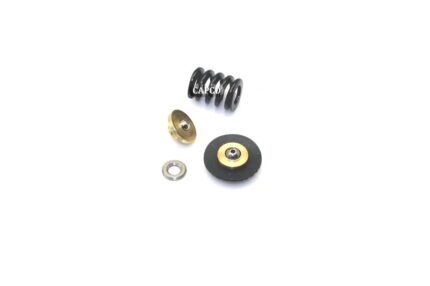 250019-453 Replacement KIT, REPAIR with spring