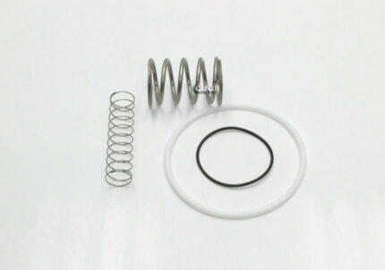 250031-438 Replacement KIT, REPAIR FOR INLET VALVE 2530030-612 (12 SERIES)