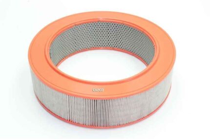 C30010 Mann Air Filter